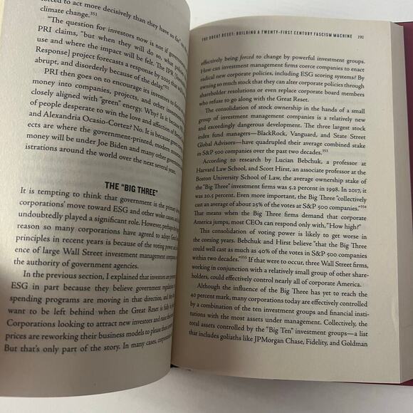 The Great Reset - Picture 3 of 6